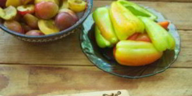 Рецепт аджики со сливами на зиму