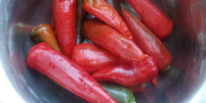 Рецепт домашней аджики