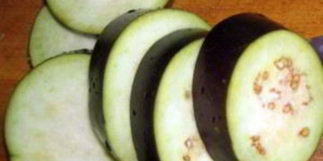 Рецепт баклажанов на зиму тещин язык