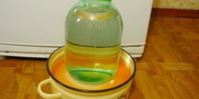 Рецепт быстрой квашеной капусты