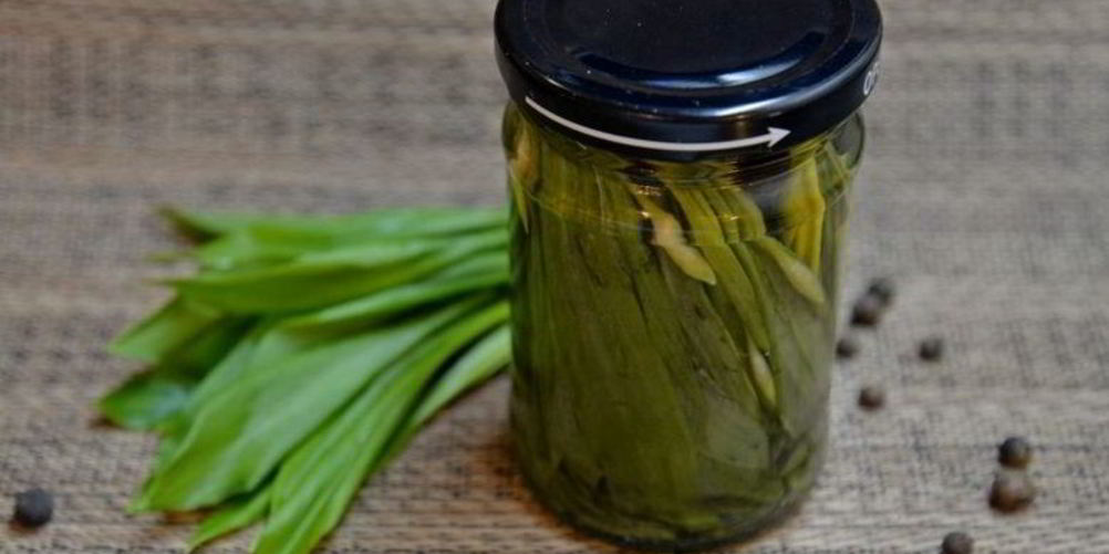 Как приготовить черемшу на зиму