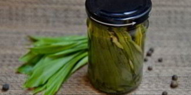 Рецепт черемши на зиму