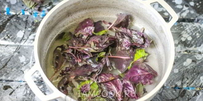 Рецепт джема из красного базилика