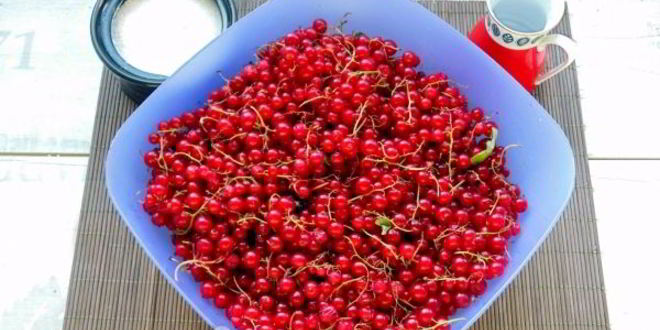 Рецепт джема из красной смородины