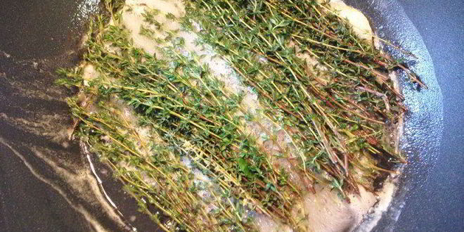 Рецепт джема из тимьяна