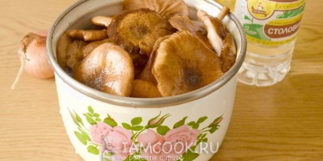 Рецепт икры из опят на зиму