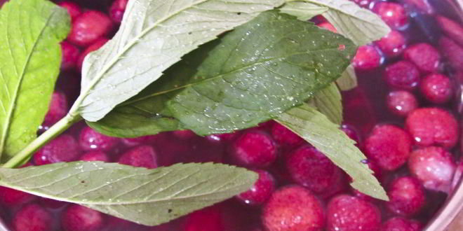 Рецепт клубничного компота с мятой