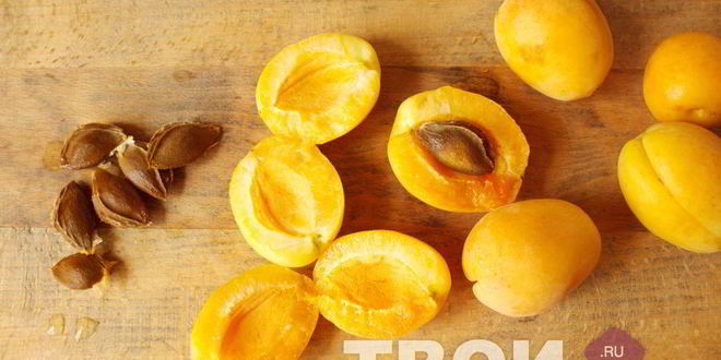 Рецепт компота из абрикосов