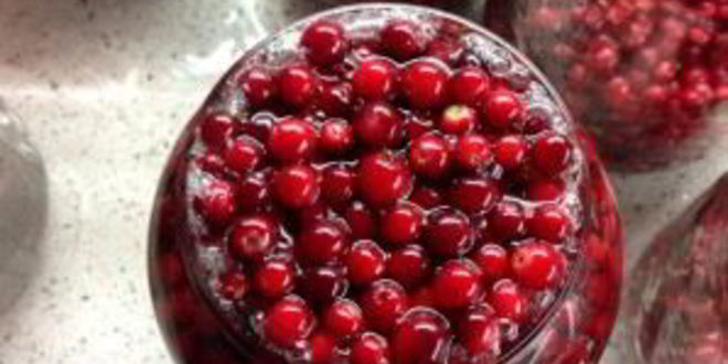 Рецепт компота из брусники на зиму