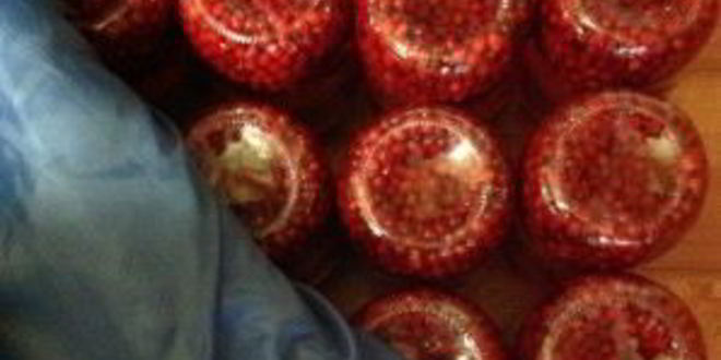 Рецепт компота из брусники на зиму