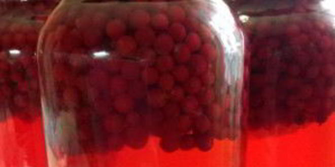 Рецепт компота из брусники на зиму