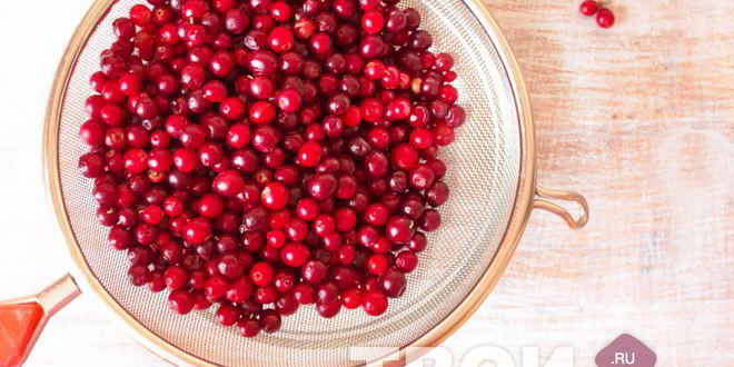 Рецепт компота из брусники