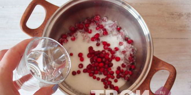 Рецепт компота из брусники