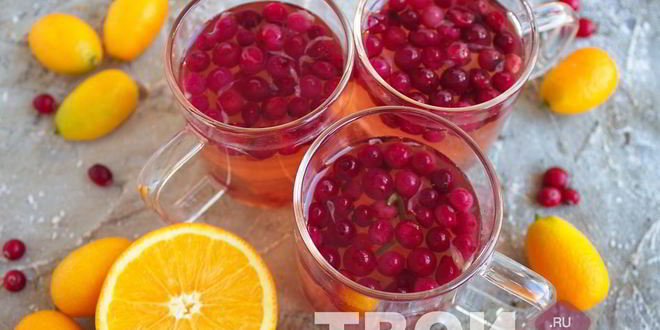 Рецепт компота из брусники