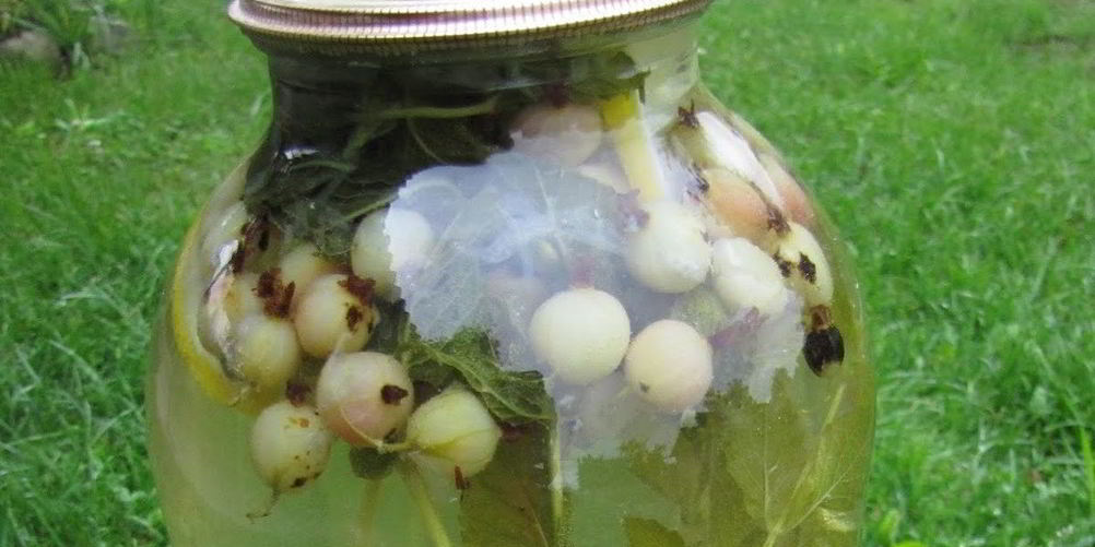 Как приготовить компот из крыжовника мохито