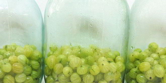 Рецепт компота из крыжовника мохито