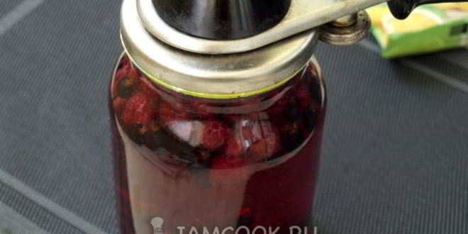 Рецепт компота из малины и смородины