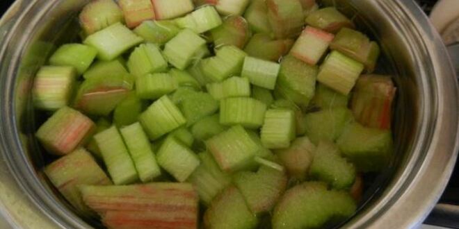 Рецепт компота из ревеня со вкусом детства