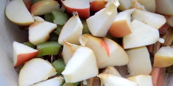 Рецепт компота из ревеня, яблока и калины