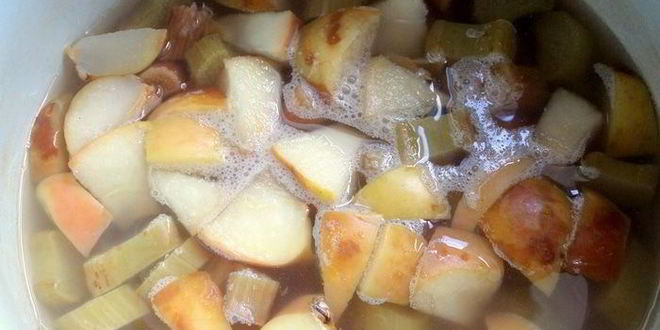Рецепт компота из ревеня, яблока и калины