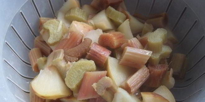 Рецепт компота из ревеня, яблока и калины