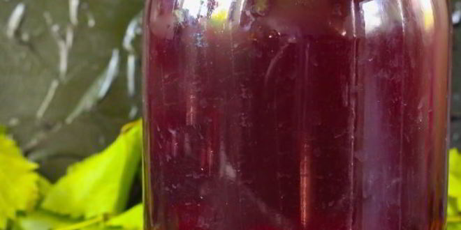 Рецепт компота из синего винограда на зиму