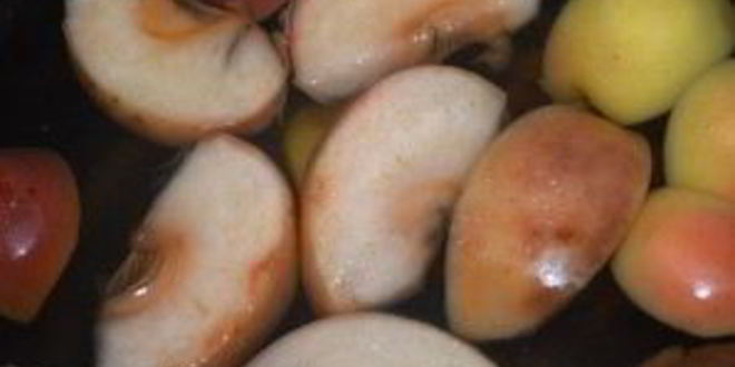 Рецепт компота из свежих яблок