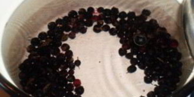 Рецепт компота из свежих ягод