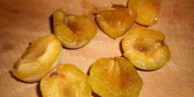 Рецепт компота из свежих ягод