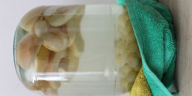 Рецепт компота из винограда с яблоками в зиму