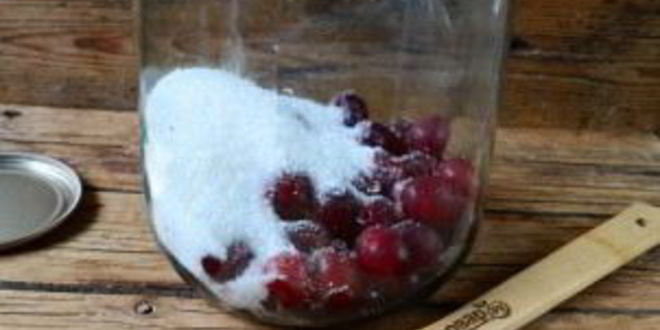 Рецепт компота из вишни