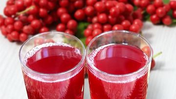 Рецепт Лимонника компот