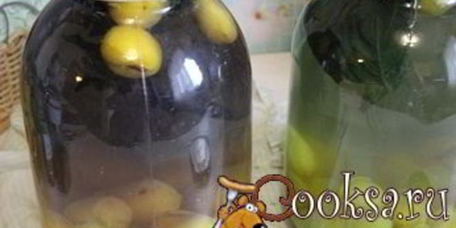 Рецепт сливового компота с базиликом на зиму