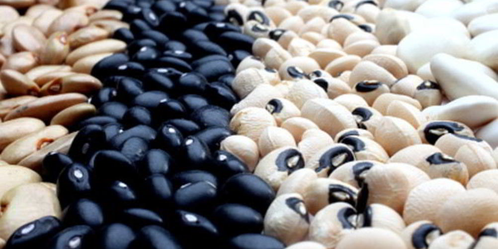 Как приготовить консервированную фасоль