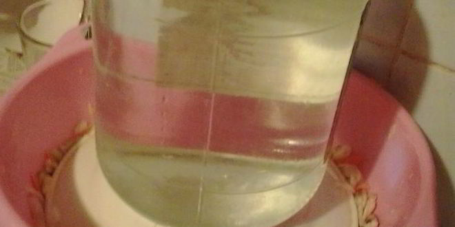 Рецепт квашеной капусты с грибами