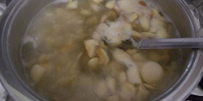 Рецепт белых грибов маринованных