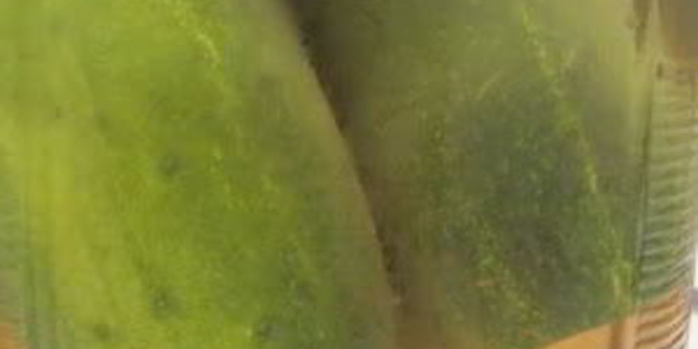 Как приготовить быстрые маринованные огурцы на зиму