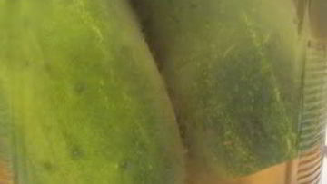 Рецепт Быстрых маринованных огурцов на зиму