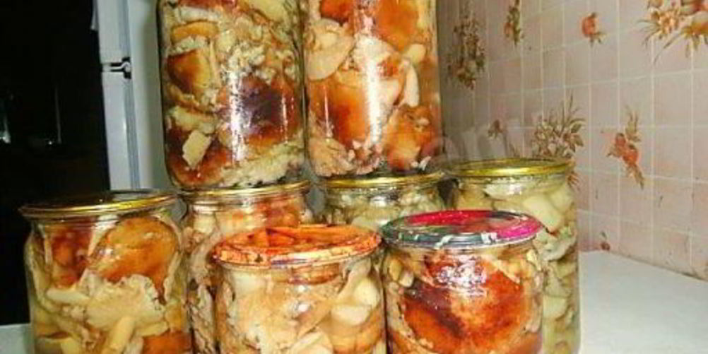 Как приготовить грибы песчаники маринованные