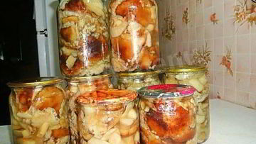 Рецепт Грибов песчаники маринованные