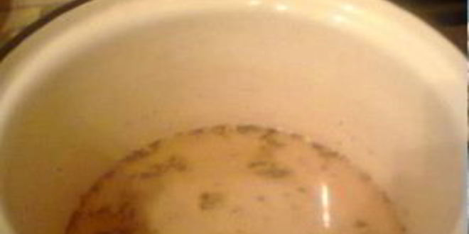 Рецепт маринованной черемши на зиму