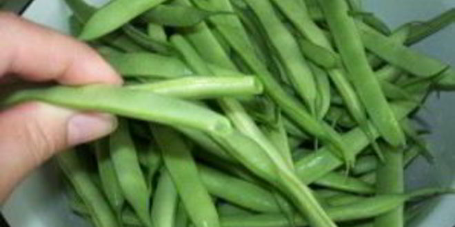 Рецепт маринованной фасоли