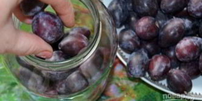 Рецепт маринованной сливы
