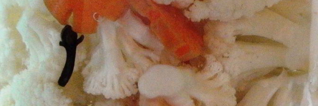 Рецепт Маринованной цветной капусты с морковью