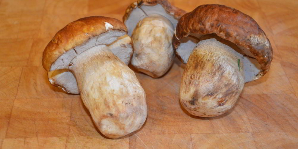 Как приготовить маринованные белые грибы