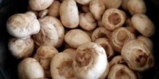 Рецепт маринованных грибов в мультиварке