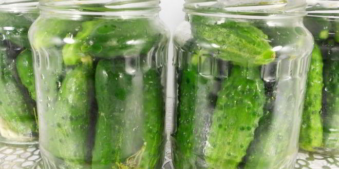 Рецепт маринованных корнишонов