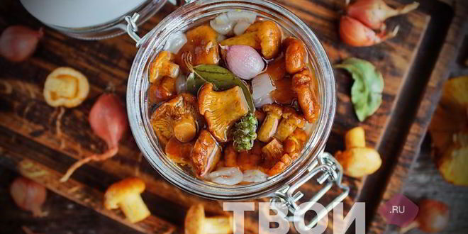 Рецепт маринованных лисичек