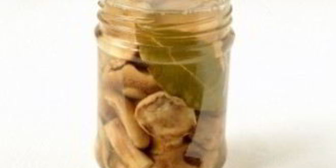 Рецепт маринованных маслят с горчицей