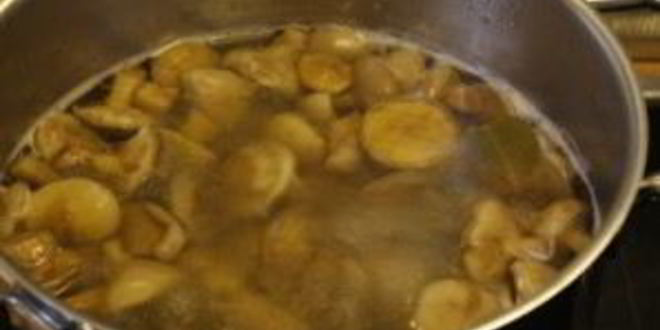 Рецепт маринованных маслят за сутки